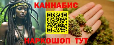 крисы Будённовск