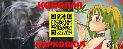 крисы Будённовск