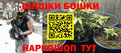 крисы Будённовск