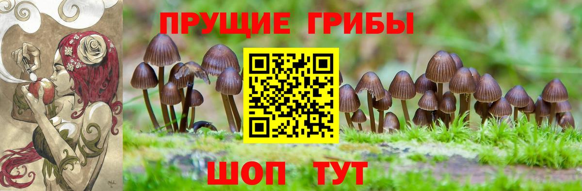 Галлюциногенные грибы Magic Shrooms Сибай